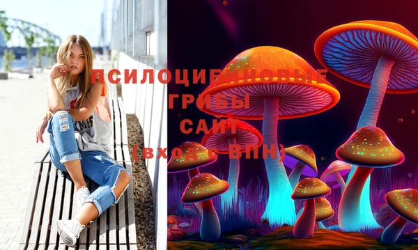 мет Абаза